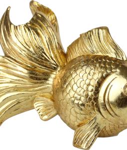4138 POISSONS GOLDRAUSCH